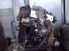 black_jap3tn.jpg - 7599 Bytes